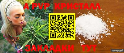 spice Краснознаменск