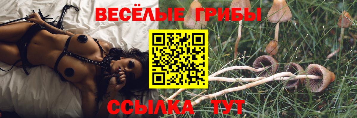 Донской  Галлюциногенные грибы ЛСД  Вход с VPN  Псилоцибиновые грибы мухоморы 